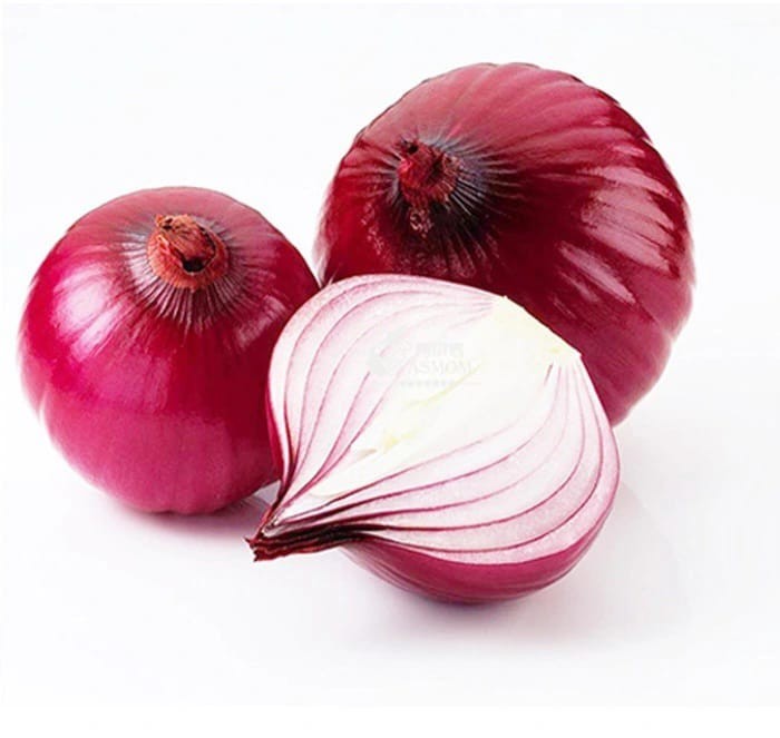 ONION IMPORT